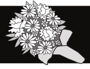 Local library lists memorials and new books