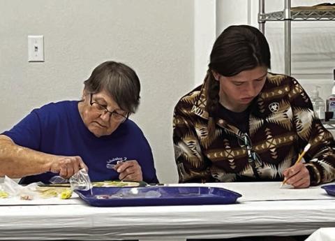 Creative Arts Program – Jo Nell Vacek and her granddaughter Megan Vacek were engrossed in their emerging mosaic pattern during the Senior Connections creative arts program on Friday, Jan. 20 at the ARTS Schulenburg studio.