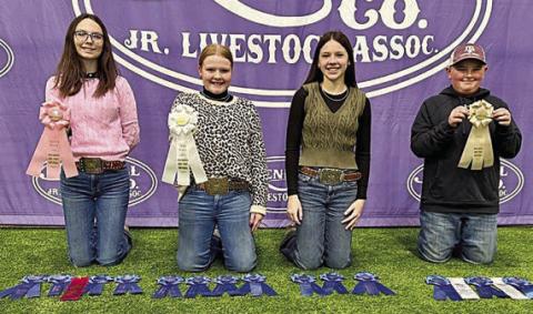 Champion Intermediate Team – (from left) Tatum Fritsch, Kaisley Janecka, Alexis Berckenhoff and Abraham McBride. Abraham McBride is a member of the Schulenburg 4-H.