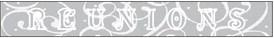 Alt Text for Image