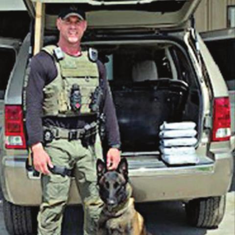 $100 million bust