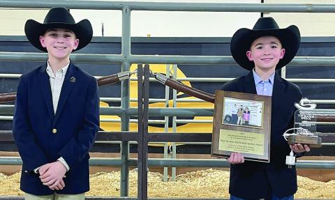 4-H’ers enter Commercial Steer Contest at San Antonio show