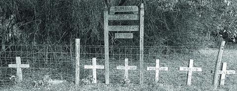 Sugarek burial place in the Dubina Cemetery – Photo Courtesy of Fayette Archives