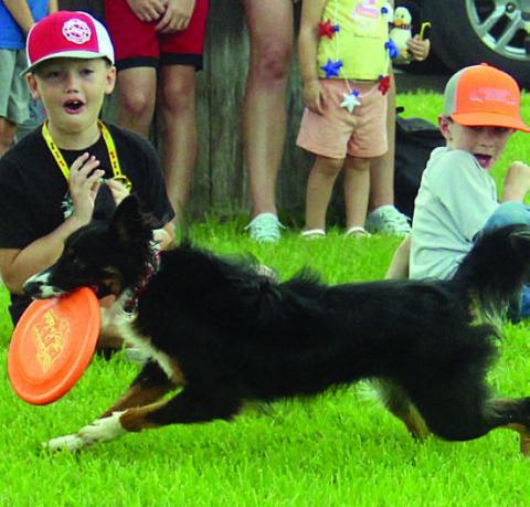 ‘Disc dogs’ delight at Public Library