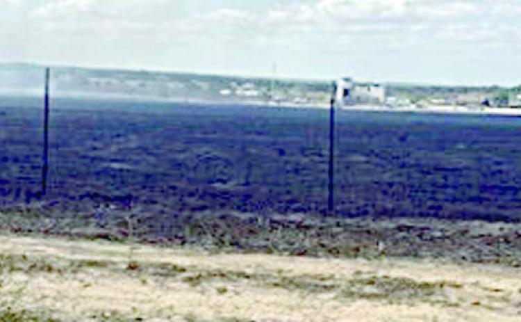 Grass fire burns 22 acres in Ellinger area