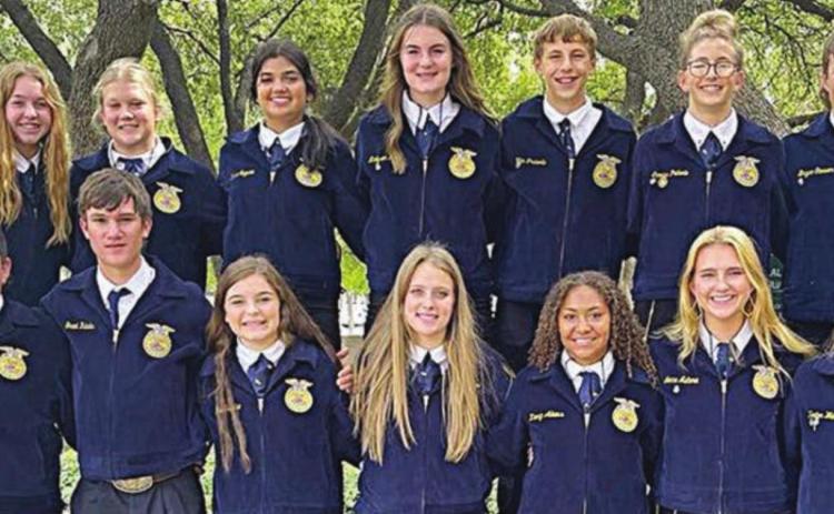 Schulenburg FFA Chapter receives awards at state convention