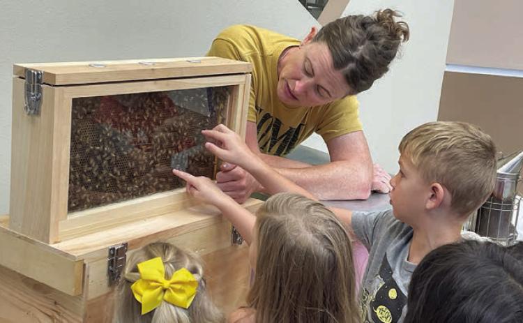 Public Library abuzz with summer activities
