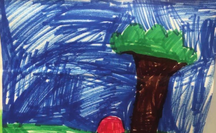 Red Door drawing leads to mental health fund being set up