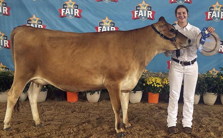 Stang wins grand champion, showmanship at Fair