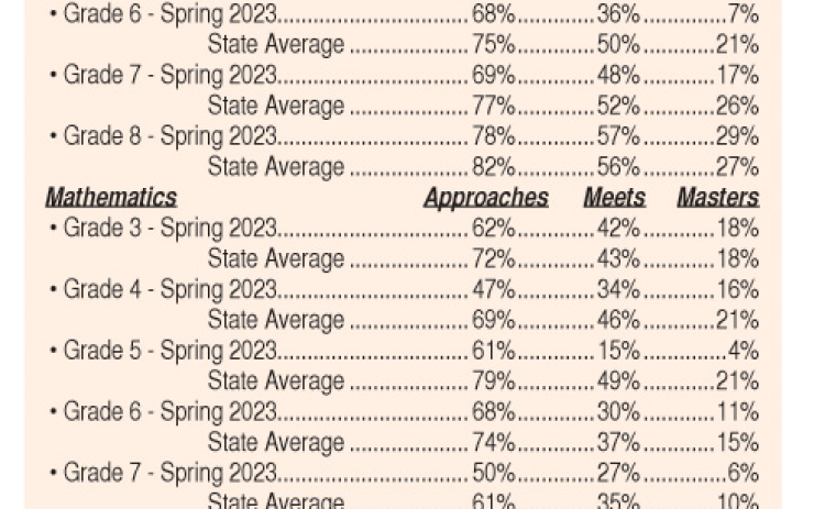 STAAR results for SISD grades 3-8