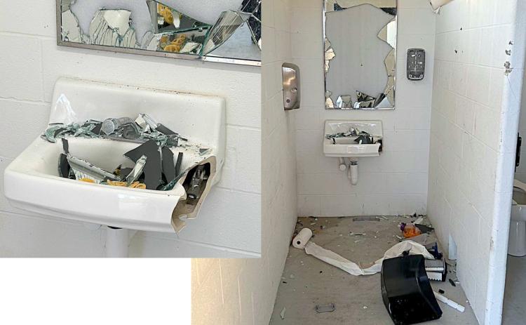 Information sought on vandalism at Sports Complex