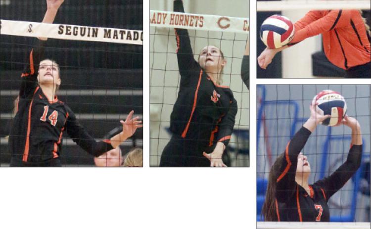 More post-season accolades for Lady Horns