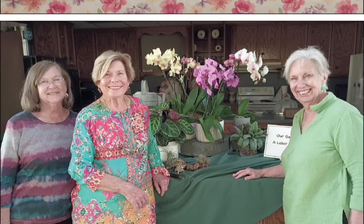 Garden Club meeting highlights