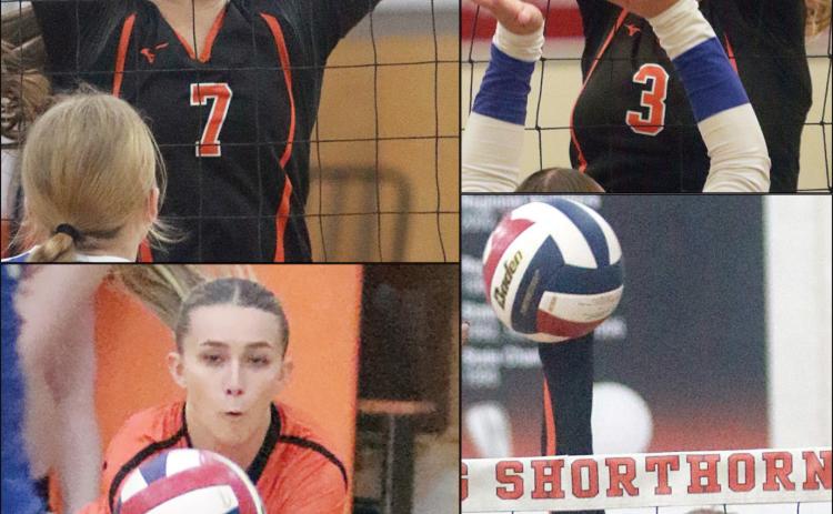 Four Lady Horns named all-state by TGCA