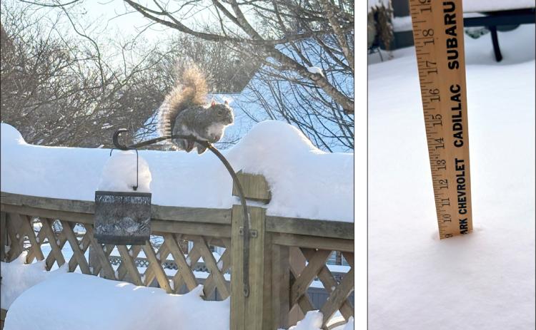 Lots of snow for North Carolina
