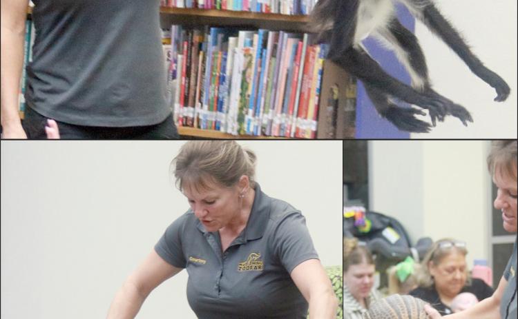 ‘Wild Things’ at the Public Library