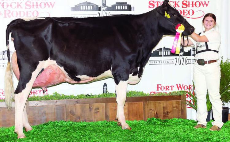 Zapalac shows reserve champions at Fort Worth.