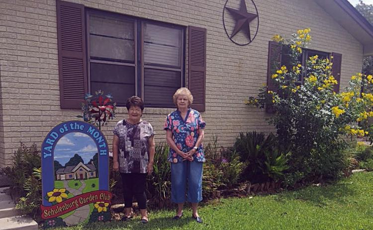 Jerry Leonard (right) and Bonnie Baker (not shown), Schulenburg Garden Club members, spent hours traveling up and down the streets of Schulenburg to find a beautiful yard for September yard of the month – the weather has been very unkind to flowering plants. Kent and Shirley Ohnheiser at 1302 Kellett Ave. have a lovely yard and Shirley Ohnheiser (left) is an avid gardener. Both the front and side yards have a wide variety of colorful blooming plants.