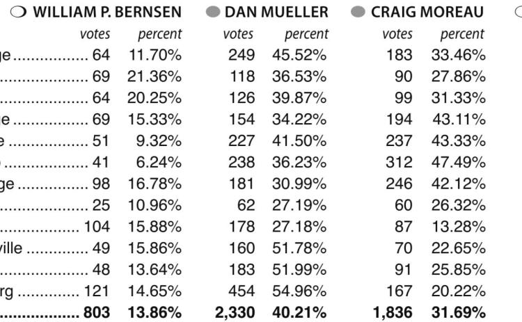 Primary Election Results