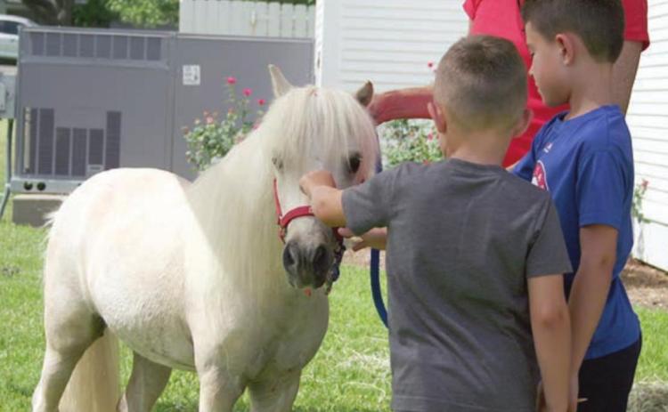 Mini Horse Helpers come to Library