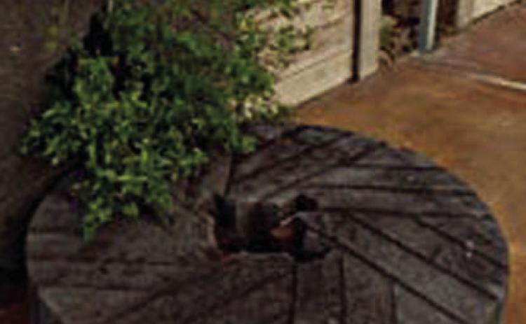 Rabb Mill Stones – Courtesy of Fayette Museum &amp; Archives