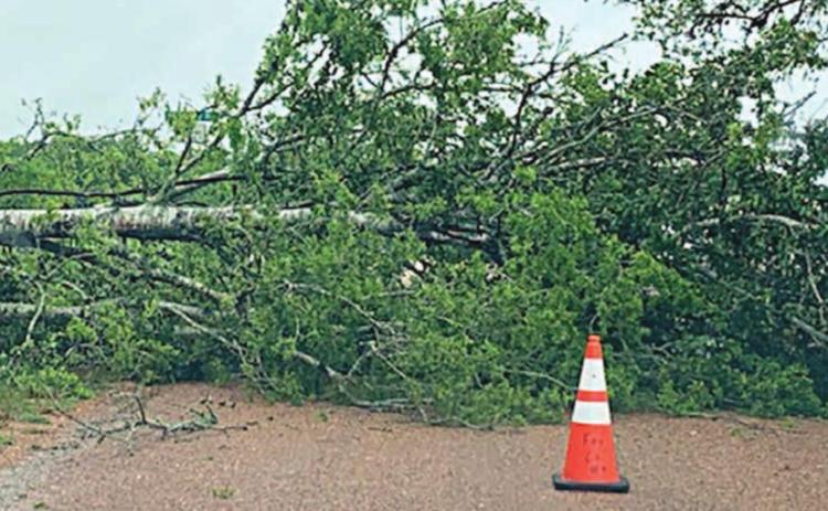 Dealing with storm damage