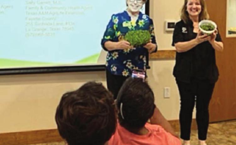 Showing their gardening efforts after presenting a session on “Nutrition, Math &amp; Science with Microgreens” at the recent Multi-County Child Care Conference are Sally Garrett (left), Fayette County agent, and Gayle Bludau (right), Gonzales County agent.