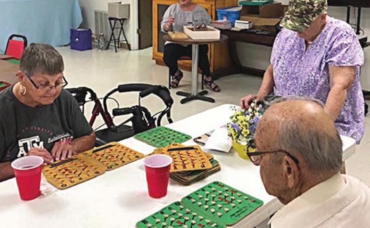 NEW MEMBER ENJOYS BINGO – Among those enjoying bingo at NVCC last week were (foreground, from left) new member Jolene Vacek with Glenda Stavinoha and Elroy Dieringer. Calling bingo was Cheryl Brossmann (background) of Fayette Savings Bank.
