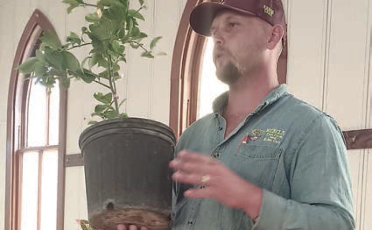 Speaker Colton Bubela focused his discussion on trees.