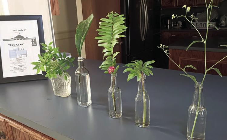 Examples of horticulture were displayed for members to see how to properly prepare entries for the flower show. At left is a framed flyer for the flower show on April 24.