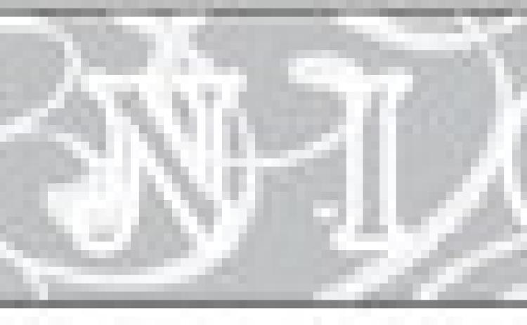 Alt Text for Image