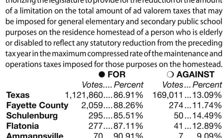County, state voters approve amendments