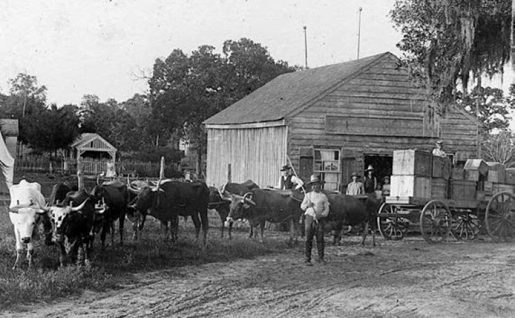 This photo of George Huebner with his ox-team at O’Quinn in the 1890s was captured by Louis Melcher. Courtesy of Fayette Heritage Museum &amp; Archives