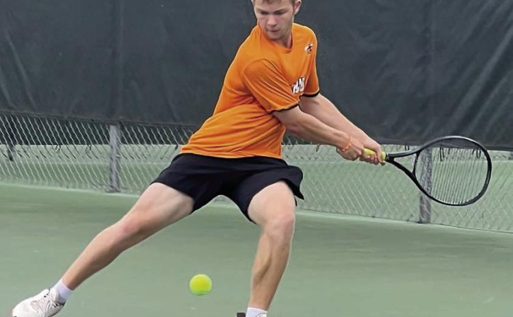 Herzik reaches quarterfinals at state