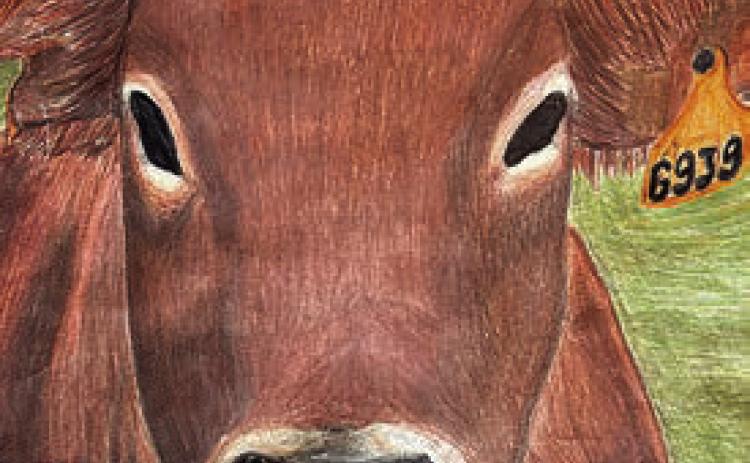 2025 Art Submission – Brianna Mikush, 10th grade, age 16, submitted artwork titled “La Vaca,” a colored drawing of a cow with tag, in the Hallet Oak Gallery’s Western Art Student Exhibition through Hallettsville High School art teacher, Staci Powers.