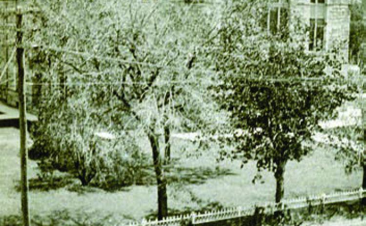 Circ a 1900 photo of the west side of the Courthouse taken from the second floor or roof of the Fink Building at 155 North Main in La Grange shows the iron fence that once surrounded the Courthouse. A wagon-drawn by a team of mules is tied to a hitching post, while a man is riding a bicycle down Main Street, which was still unpaved at the time. Photo Courtesy of Fayette Heritage Museum &amp; Archives