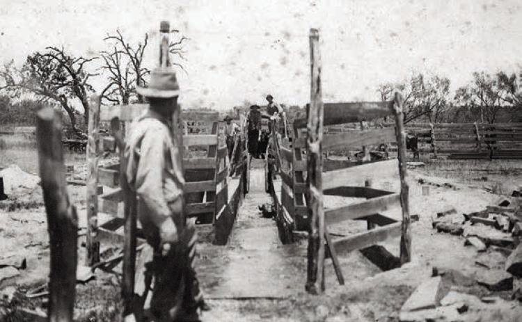 Dipping vat probably located in the Bluff area. Photo Courtesy of Fayette Heritage Museum &amp; Archives