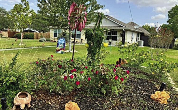 Yard of the month for September