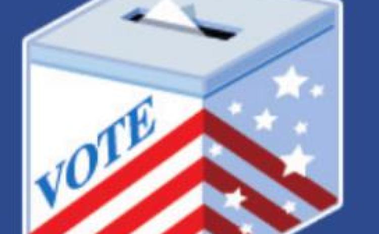 Constitutional Amendment and Local Political Subdivision Elections