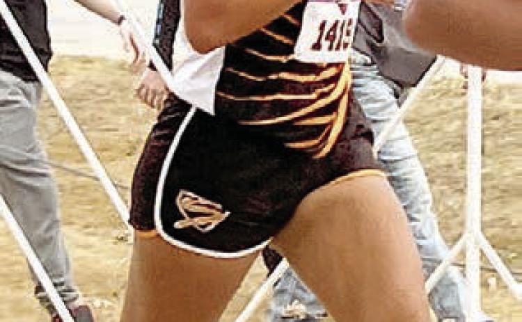 Ruby Rodriguez runs at the state cross country in Round Rock last Friday morning.