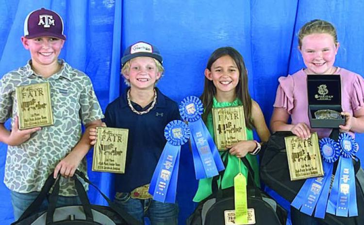 28 Fayette 4-H’ers compete in Austin Co. judging
