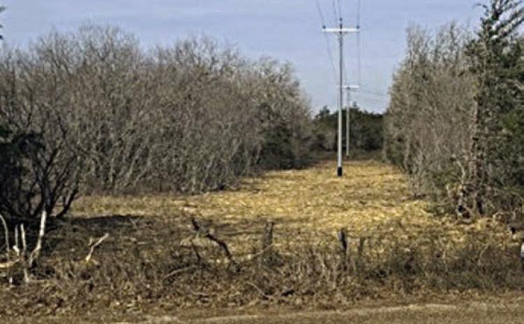 Vegetation can be major source of service interruptions, so Fayette Electric Cooperative invests in planned, proactive vegetation management to address potential issues before they result in outages.