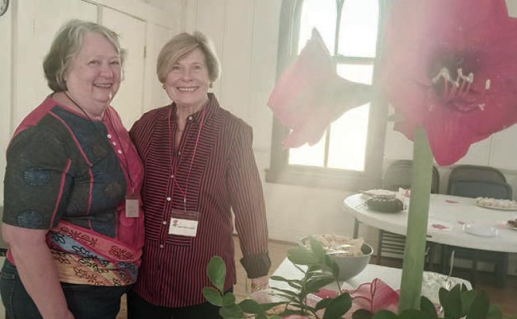 Garden Club has program on bees at meeting