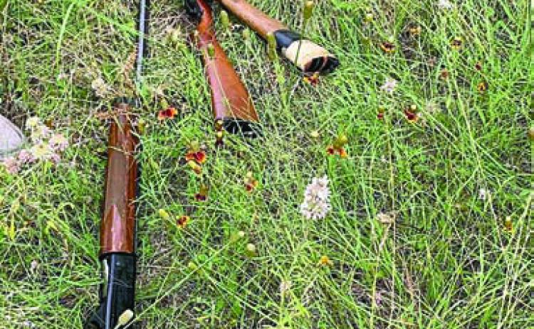 Some of the stolen guns, which were found by deputies in a pasture, are shown above.