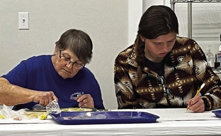 Creative Arts Program – Jo Nell Vacek and her granddaughter Megan Vacek were engrossed in their emerging mosaic pattern during the Senior Connections creative arts program on Friday, Jan. 20 at the ARTS Schulenburg studio.
