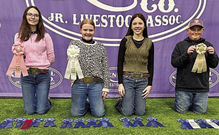 Champion Intermediate Team – (from left) Tatum Fritsch, Kaisley Janecka, Alexis Berckenhoff and Abraham McBride. Abraham McBride is a member of the Schulenburg 4-H.