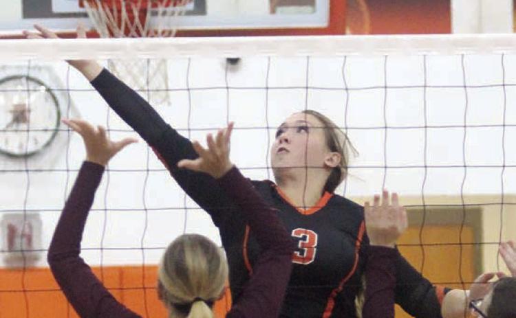 Strong start for Lady Horns