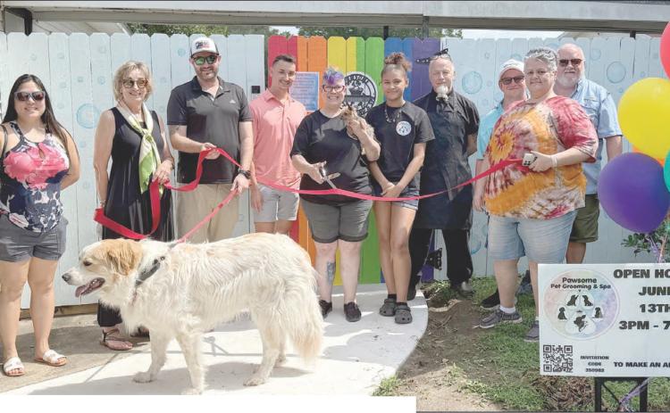 ON HAND AS THE RIBBON WAS CUT at Pawsome Pet Grooming and Spa were: (from left) Ellie Shin, Diana Mikesky-Schulenburg Chamber of Commerce president, Chris Veit, Josh Lichnovsky, Andi Lee-owner, Brie Pugh, Garrett Pettit, Will Kuhn, Diana Bagley, and Michael Kuhn-Schulenburg Chamber of Commerce director.