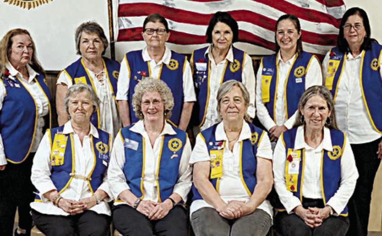 Auxiliary officers elected