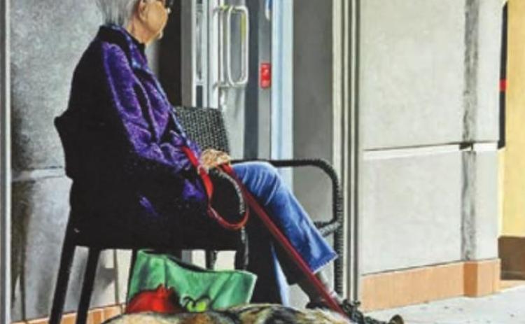 New exhibit now open at ARTS Gorman Gallery in Schulenburg
